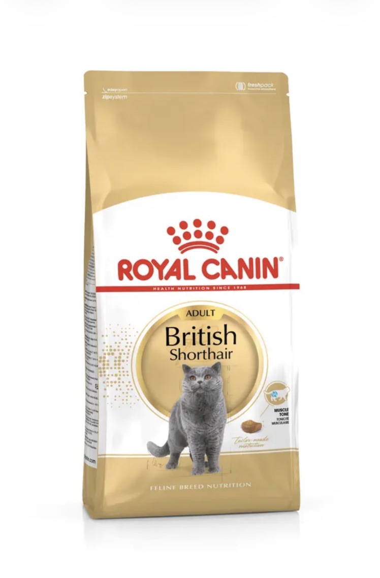غذای خشک گربه بریتیش رویال کنین Royal Canin British Shorthair Adult