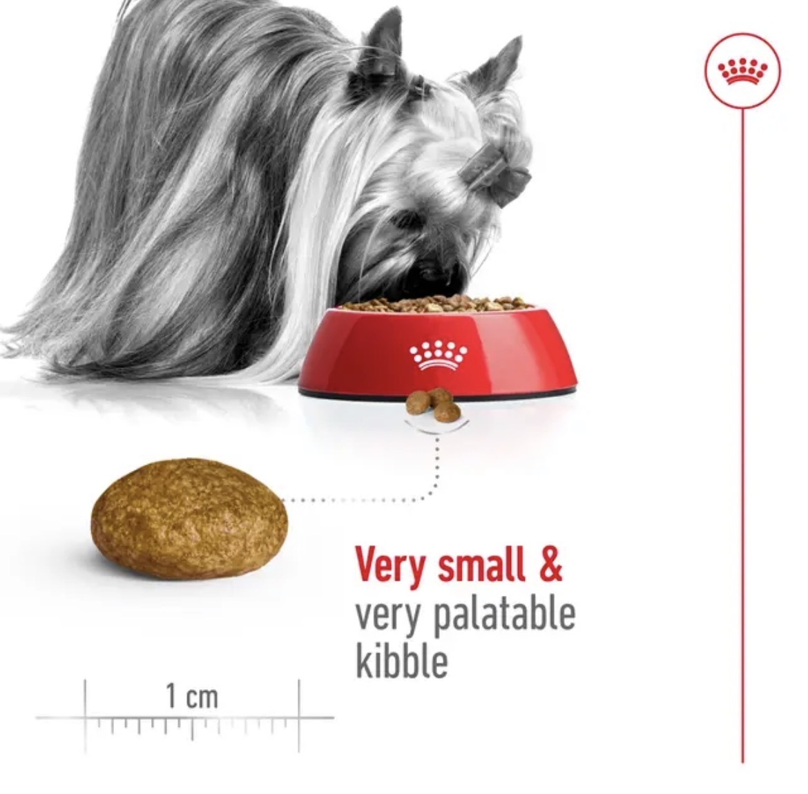  غذای خشک سگ رویال کنین مدل X-Small Adult 
