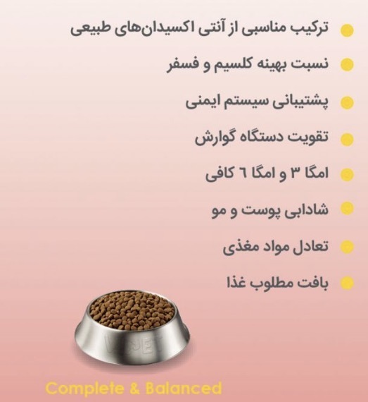  غذای خشک بچه گربه وی‌ پت ViPet Kitten 