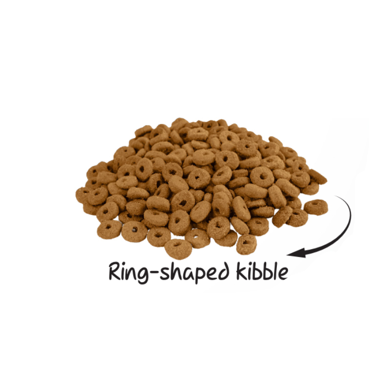  غذا خشک سگ بالغ عقیم سولواس Soloes Sterilized Adult Dog 