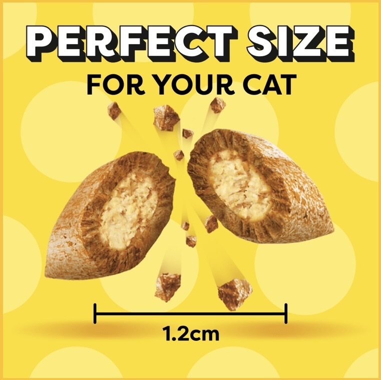 Dreamies Salmon Flavour Cat Treat