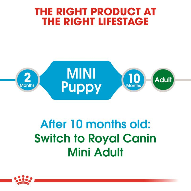  غذای خشک رویال کنین مینی پاپی Royal Canin Mini Puppy Dry Dog Food 