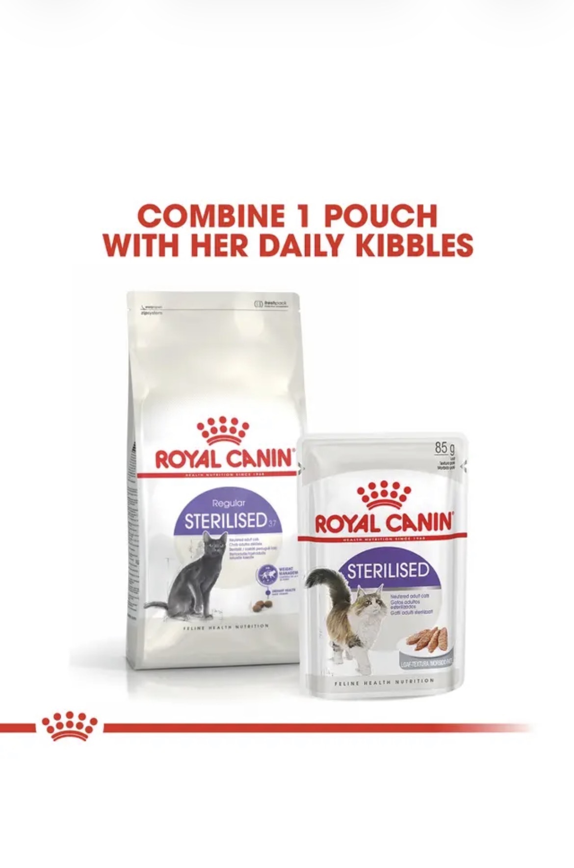 گزینه مناسب مکمل غذای خشک گربه عقیم شده رویال کنین Royal Canin Sterilised Adult Cat