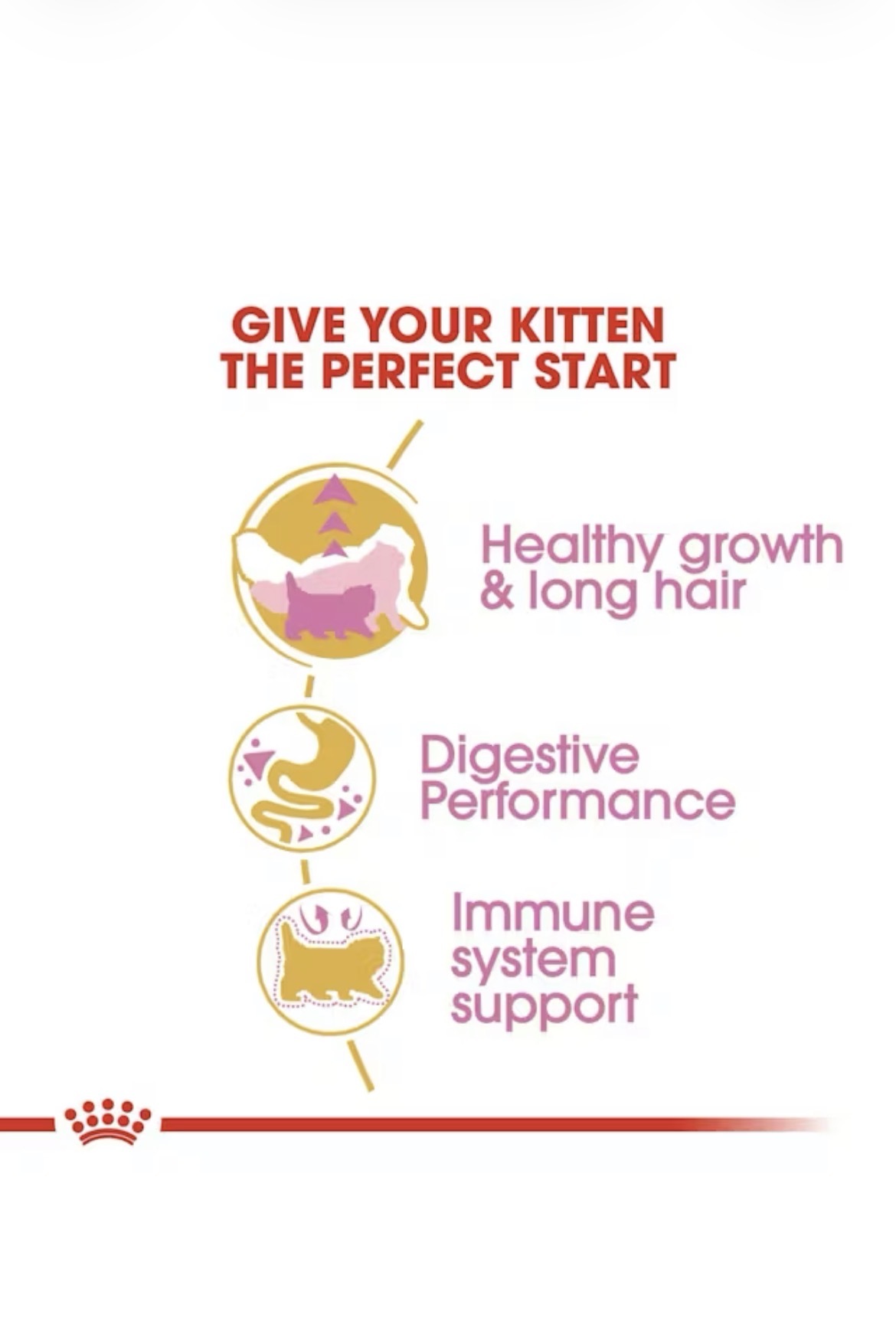  غذای خشک بچه گربه پرشین رویال کنین Royal Canin Persian Kitten 