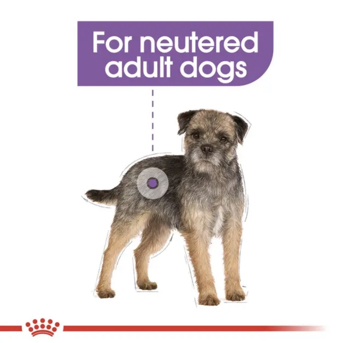 غذای خشک سگ عقیم شده نژاد کوچک رویال کنین مدل Royal Canin Mini Sterilised