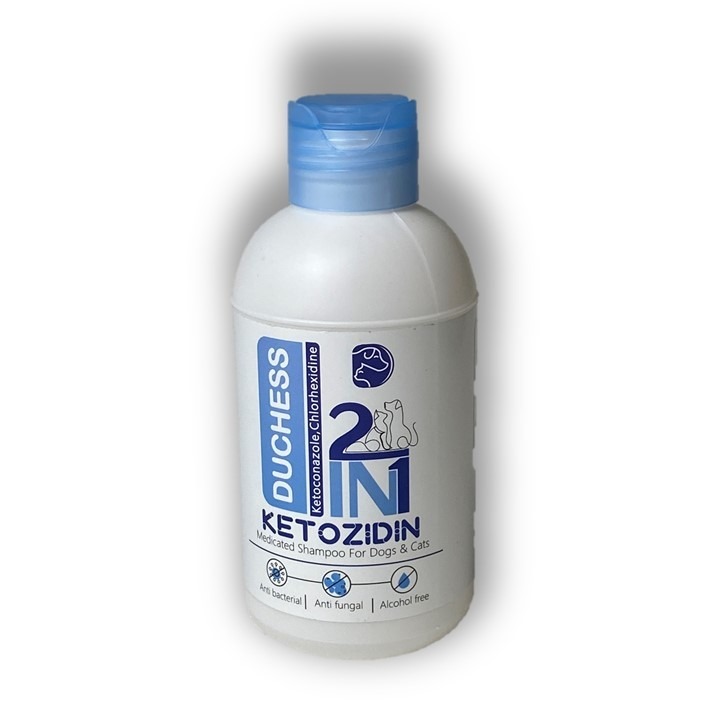 شامپو درمانی ضد قارچ و ضد باکتری دوشس مدل Ketozidin 2IN1