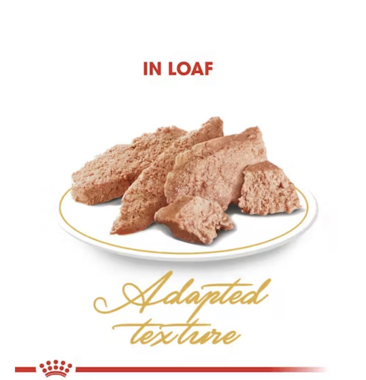  Royal Canin Persian Adult Loaf Wet Cat Food 