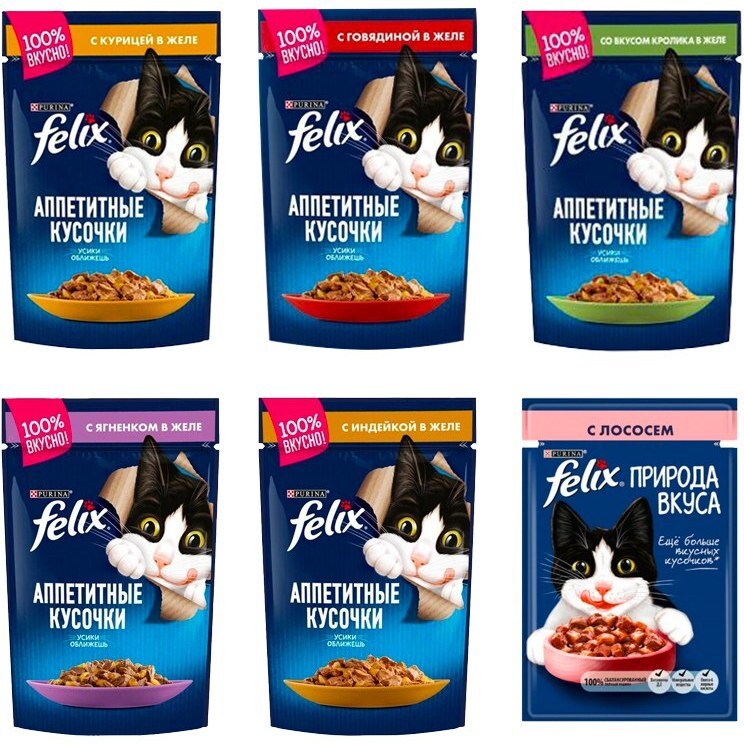 پوچ گربه فلیکس Purina Felix As Good As It Looks Cat Pouch