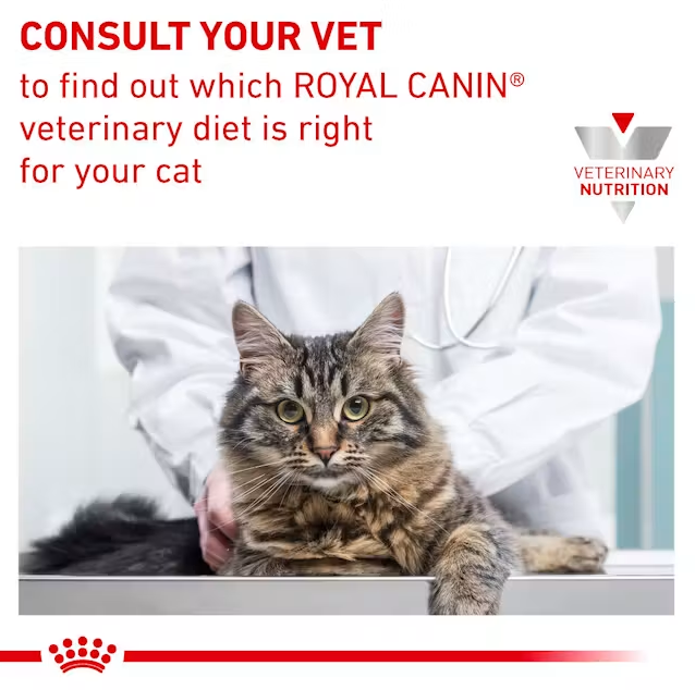  غذای خشک درمانی گربه رویال کنین یورینری Royal Canin Veterinary Urinary S/O Dry Cat Food 