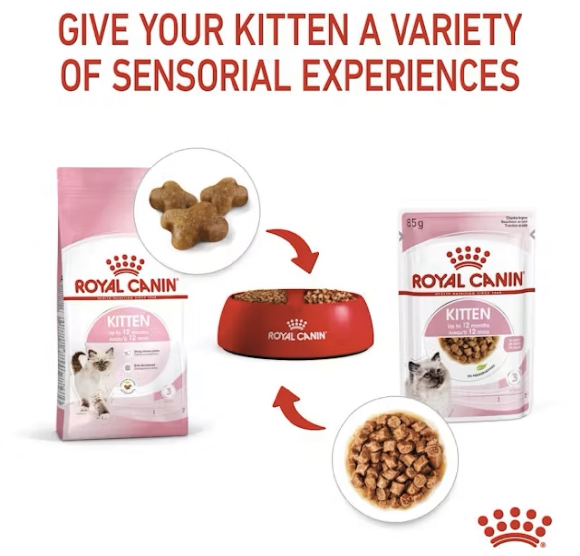  پوچ بچه گربه رویال کنین مدل Kitten Chunks in Gravy 