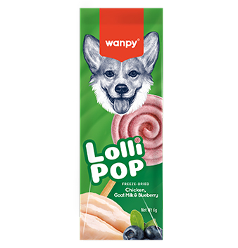 آبنبات فریز درای سگ ونپی با طعم بلوبری Freeze Dried Lollipops Blueberry Wanpy