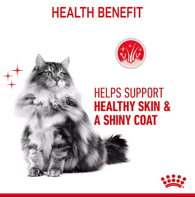 پوچ گربه رویال کنین هیر اند اسکین کر در ژله (مراقبت پوست و مو) Royal Canin Hair & Skin Care Thin Slices in Jelly