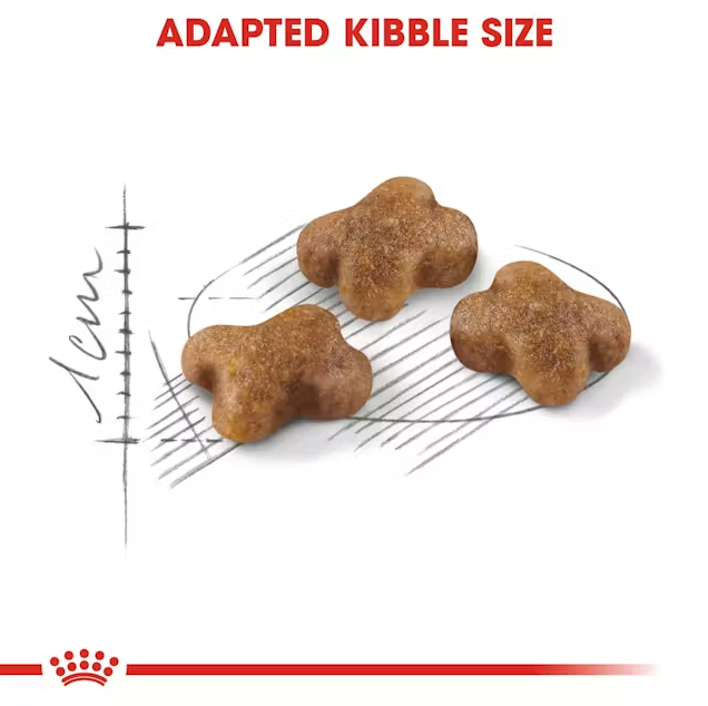  غذای خشک بچه گربه رویال کنین کیتن Royal Canin Kitten Dry Cat Food 