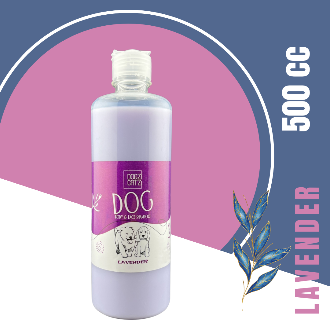  شامپوی سگ داگزی کتزی Dogzi Catzi Dog Shampoo اسطوخودوس 