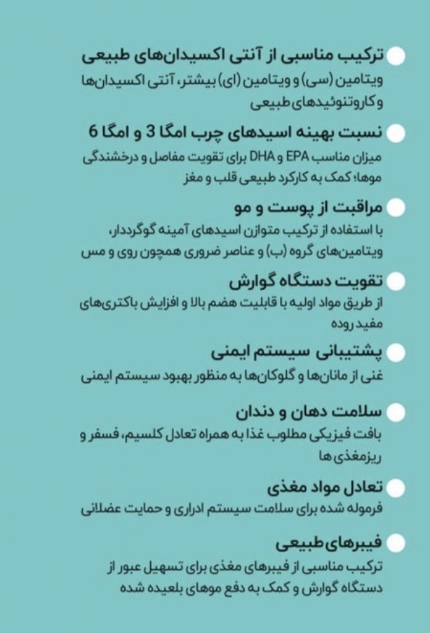 غذای خشک گربه بالغ ویپت