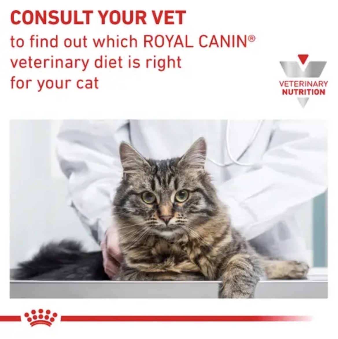  غذای خشک درمانی رویال کنین گاسترواینتستینال مخصوص گربه Royal Canin Gastrointestinal Dry Cat Food 