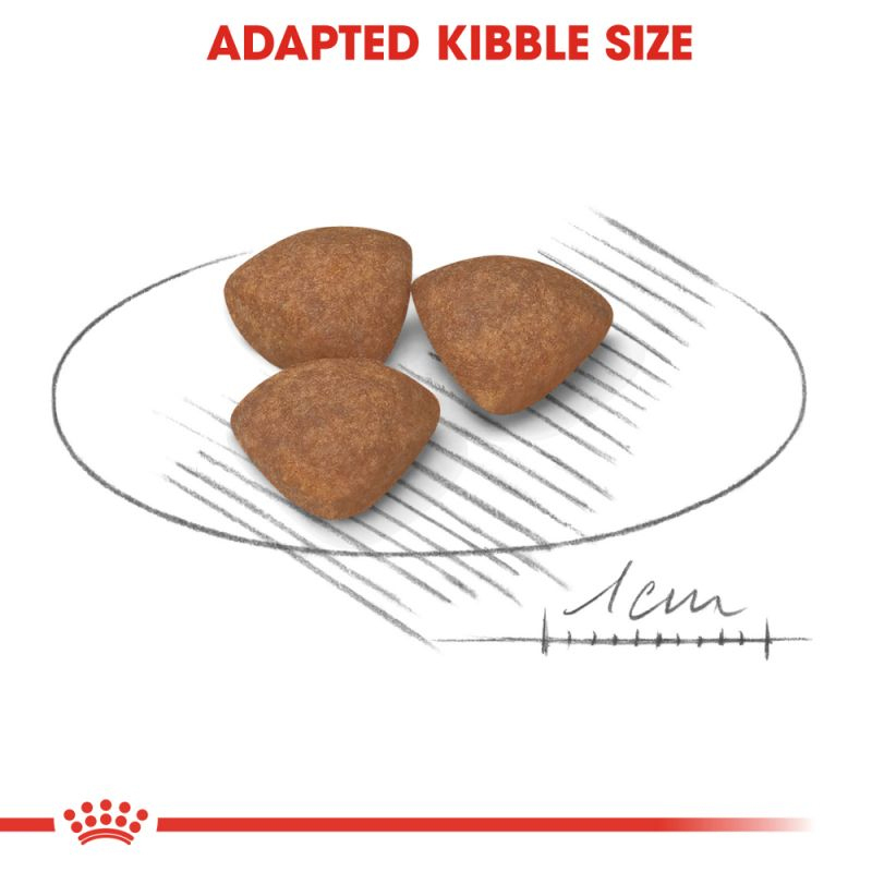  غذای خشک رویال کنین مینی پاپی Royal Canin Mini Puppy Dry Dog Food 