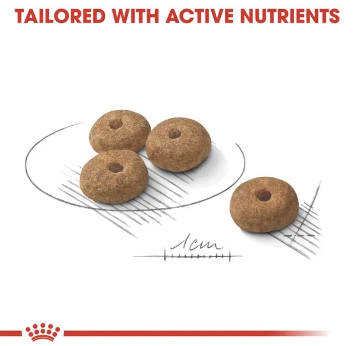 غذای خشک سگ عقیم شده نژاد کوچک رویال کنین مدل Royal Canin Mini Sterilised