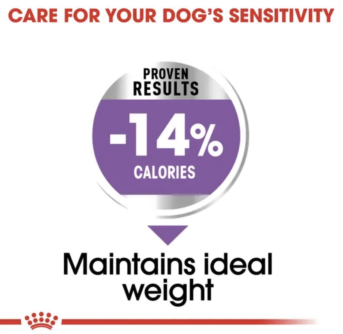 غذای خشک سگ عقیم شده نژاد کوچک رویال کنین مدل Royal Canin Mini Sterilised