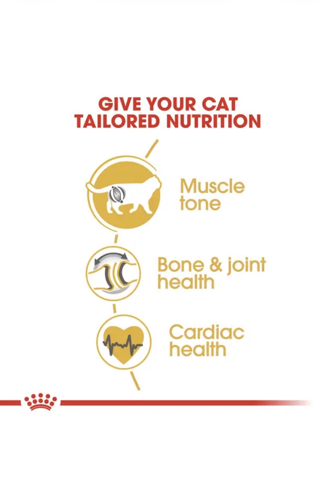  غذای خشک گربه بریتیش رویال کنین Royal Canin British Shorthair Adult 