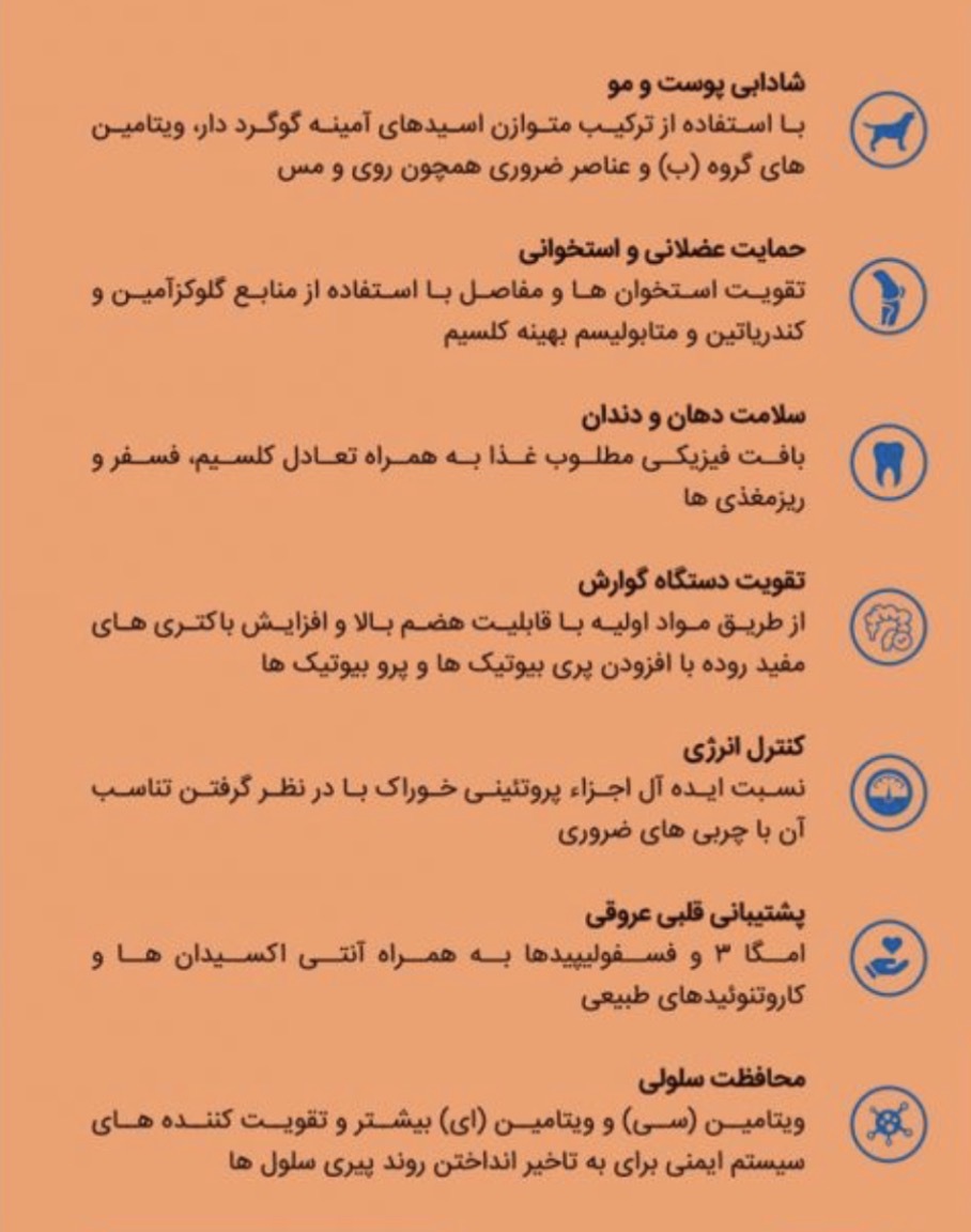  غذای خشک سگ بالغ نژاد بزرگ وی‌ پت 