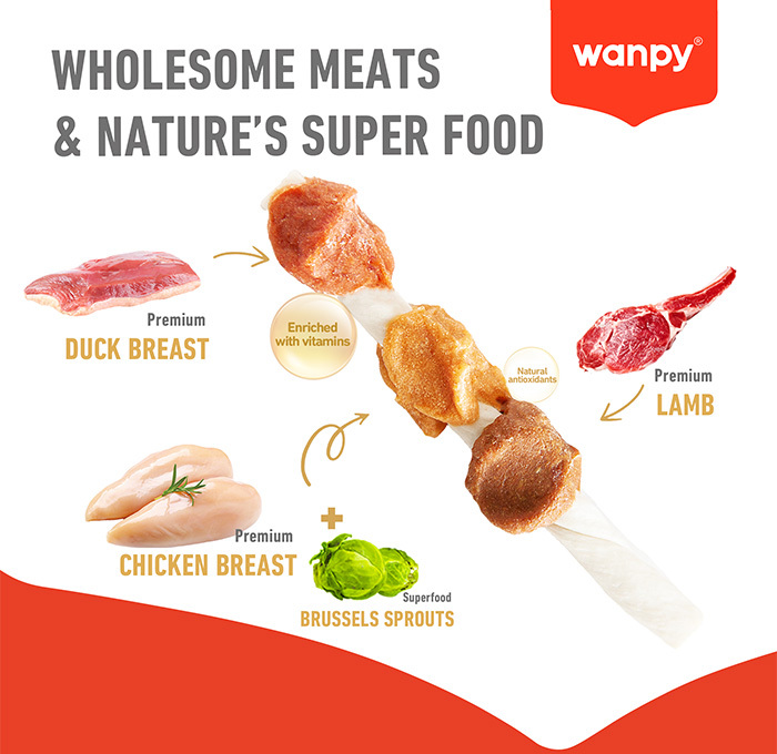  تشویقی سگ ونپی مدل Chewy Triple Chunk Kabobs وزن 100 گرم wanpy 