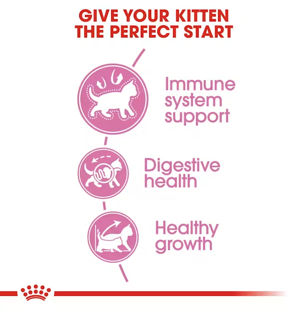  غذای خشک بچه گربه رویال کنین کیتن Royal Canin Kitten Dry Cat Food 