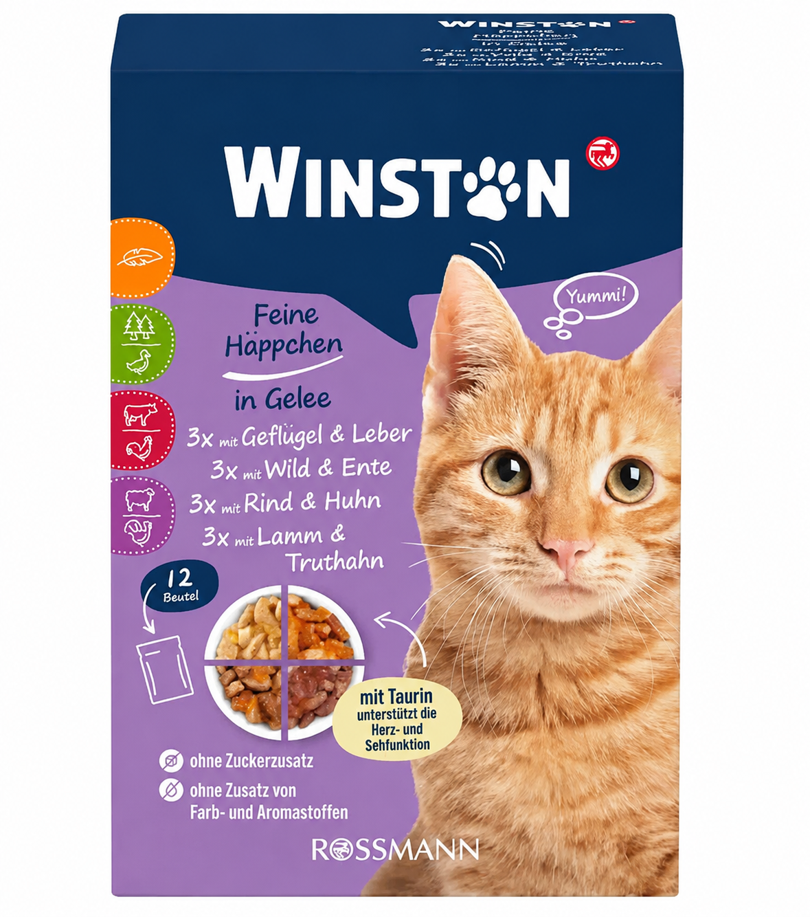  پوچ گربه وینستون در ژله Winston In Jelly Pack 