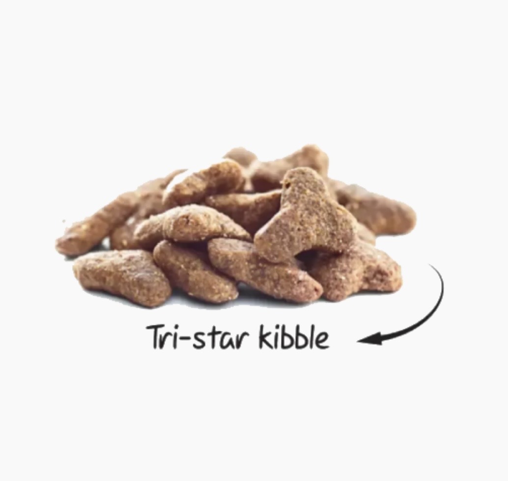 غذای خشک گربه بالغ عقیم شده سولواس Soloes Sterilized Adult Cat Dry Food