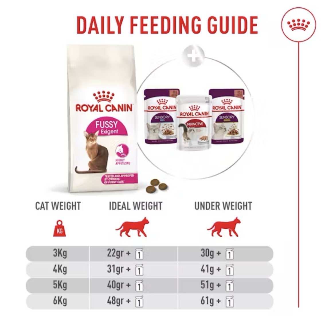 غذای خشک گربه بدغذا رویال کنین فاسی (Royal Canin Fussy)