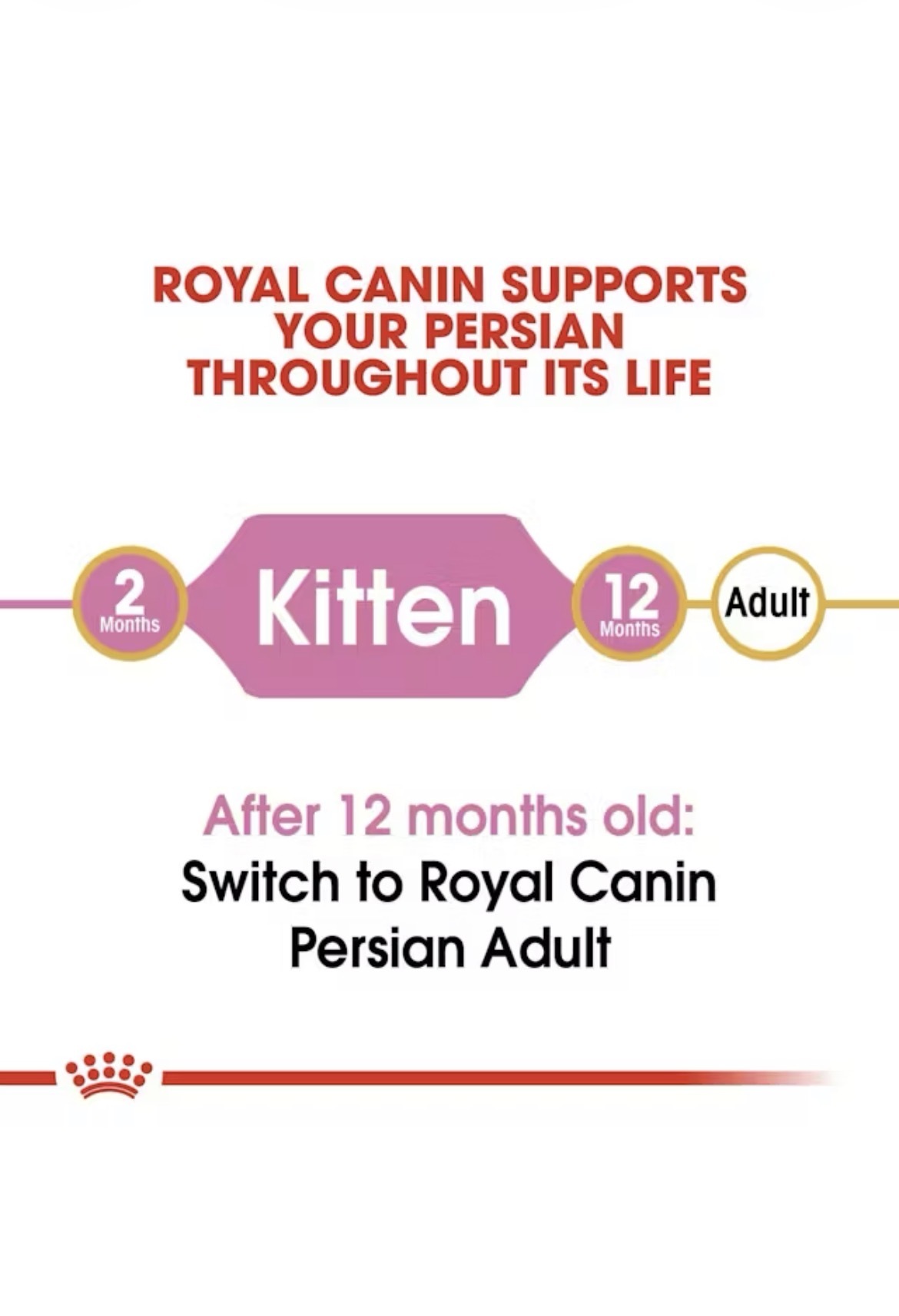  غذای خشک بچه گربه پرشین رویال کنین Royal Canin Persian Kitten 