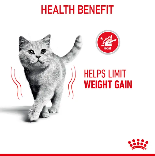  غذای خشک گربه رویال کنین لایت ویت کر (کنترل وزن) Royal Canin Light Weight Care Dry Cat Food 