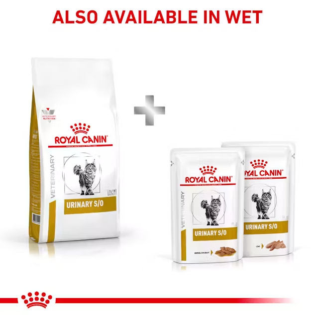  غذای خشک درمانی گربه رویال کنین یورینری Royal Canin Veterinary Urinary S/O Dry Cat Food 