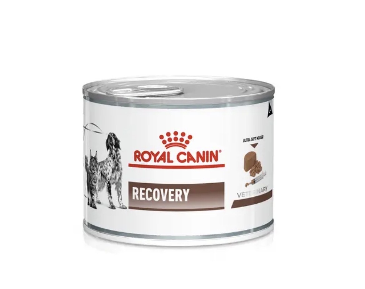  کنسرو ریکاوری رویال کنین مدل Recovery Mousse 