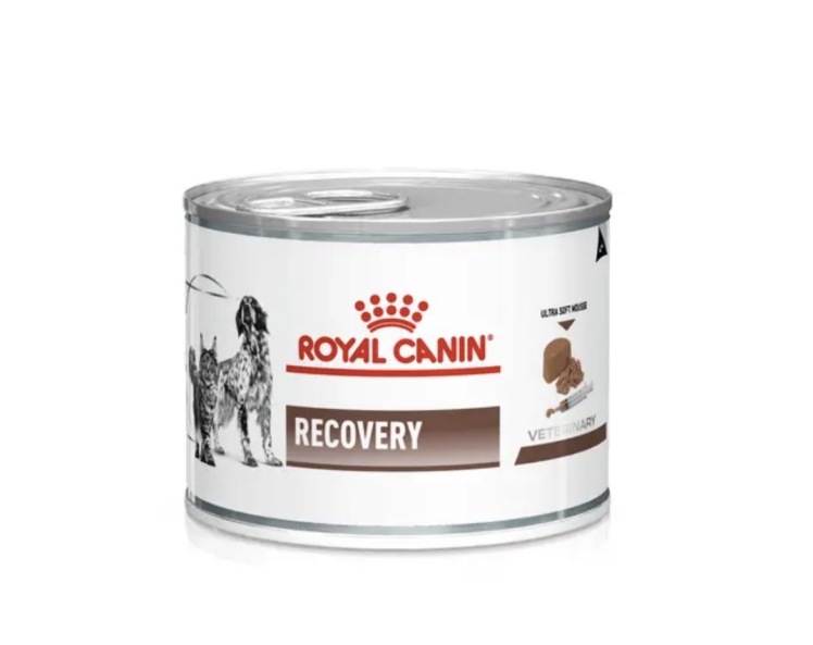 کنسرو ریکاوری رویال کنین مدل Recovery Mousse