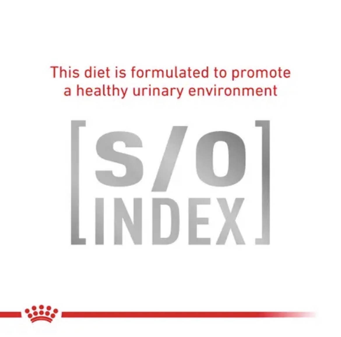  غذای خشک درمانی رویال کنین گاسترواینتستینال مخصوص گربه Royal Canin Gastrointestinal Dry Cat Food 