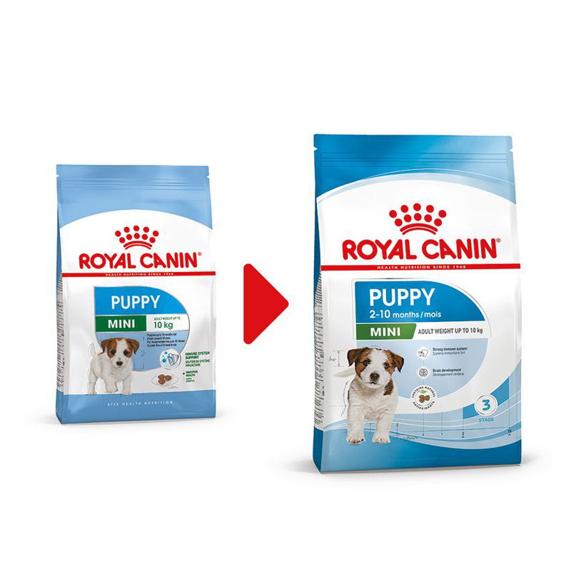  غذای خشک رویال کنین مینی پاپی Royal Canin Mini Puppy Dry Dog Food 