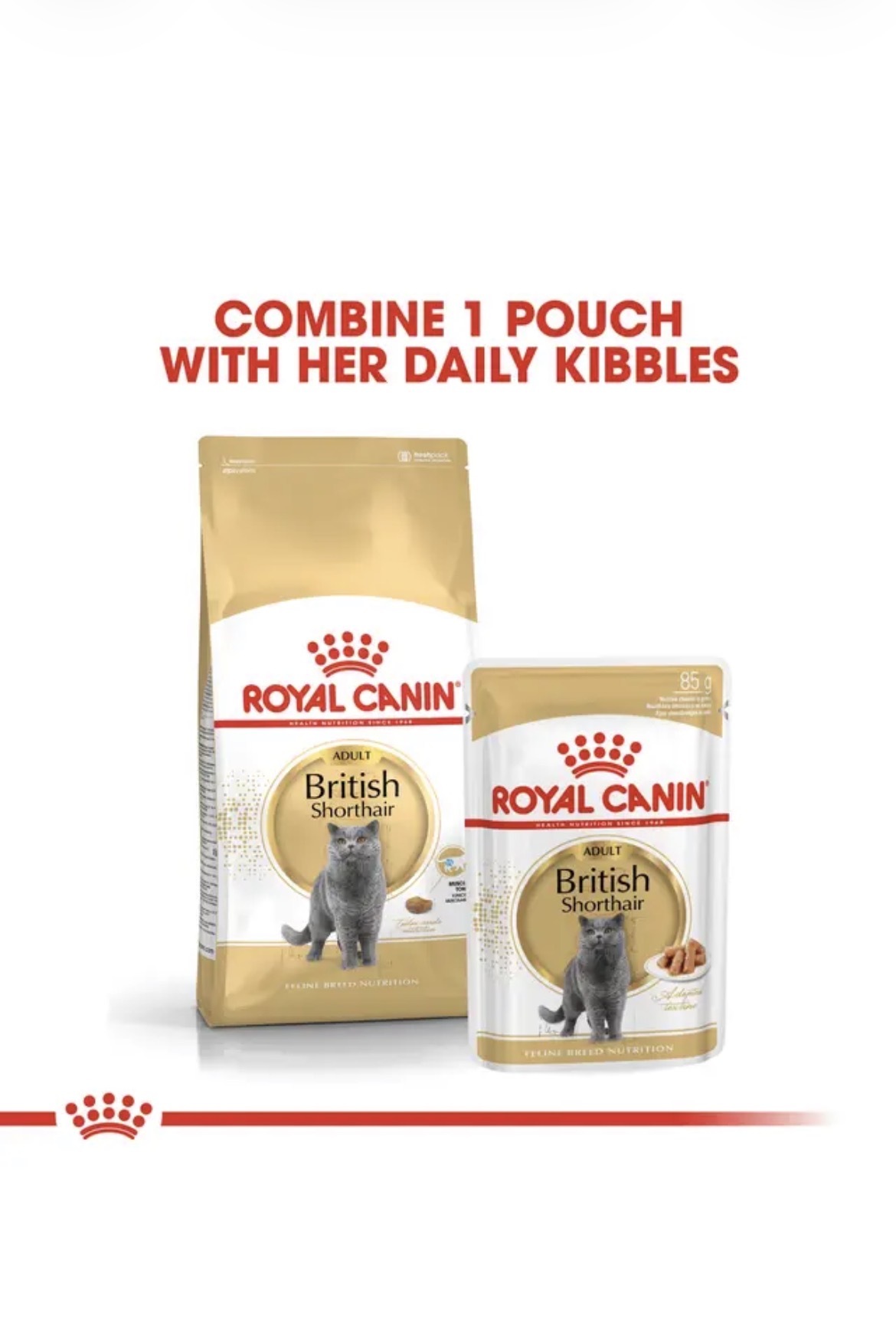  غذای خشک گربه بریتیش رویال کنین Royal Canin British Shorthair Adult 